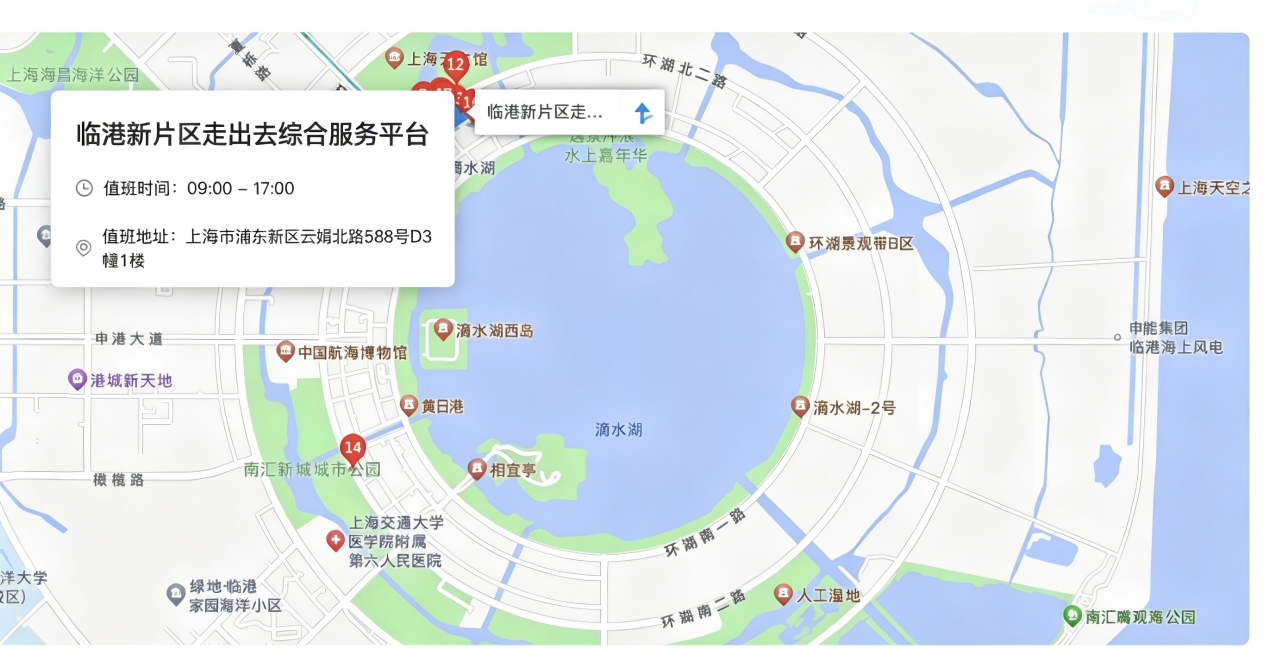 临港新片区走出去综合服务平台位置地图