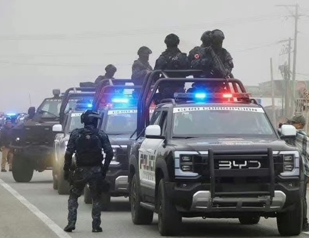 中国汽车品牌在厄瓜多尔市场表现亮眼