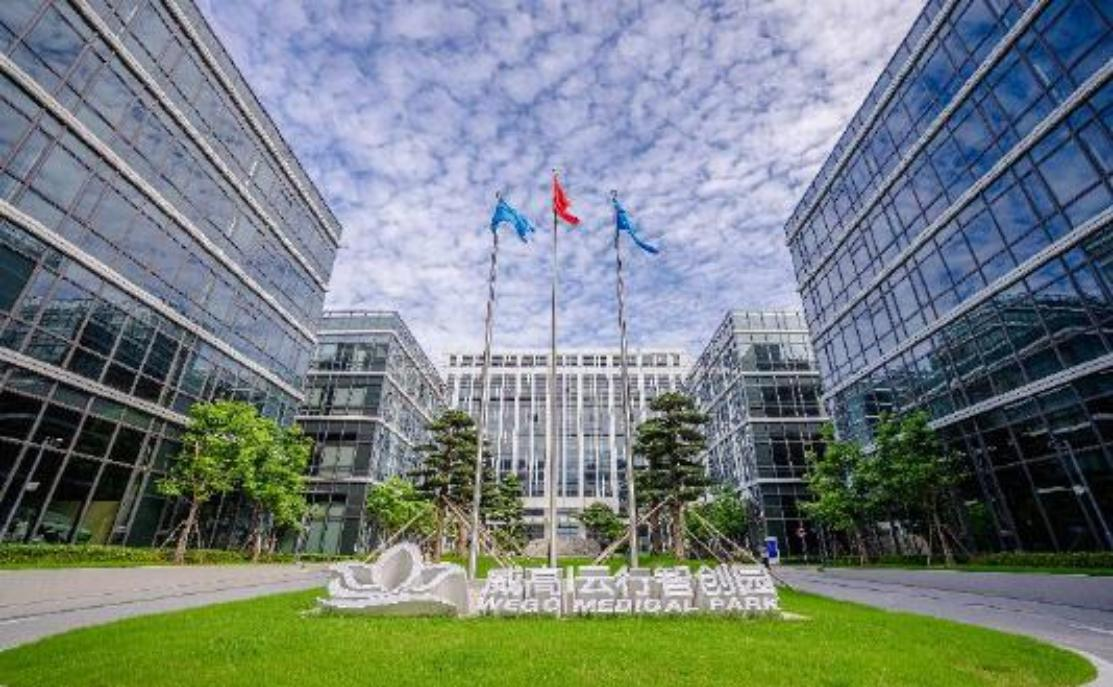 链主企业的海外征程