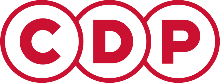 薪得付信息技术（上海）有限公司（CDP）